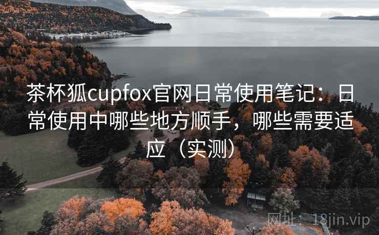 茶杯狐cupfox官网日常使用笔记：日常使用中哪些地方顺手，哪些需要适应（实测）