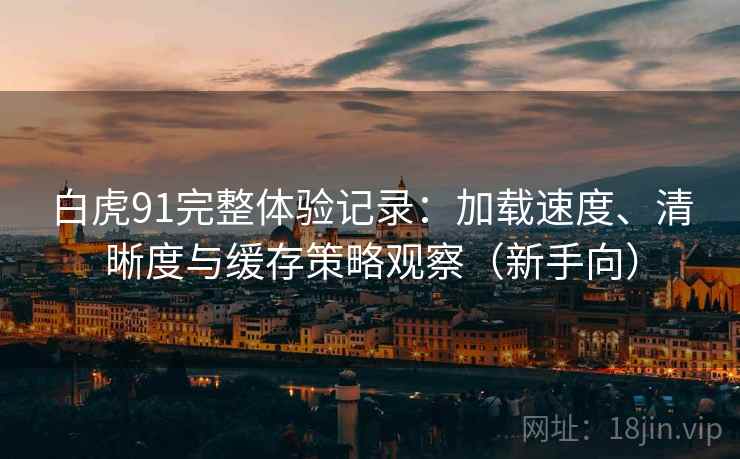 白虎91完整体验记录：加载速度、清晰度与缓存策略观察（新手向）