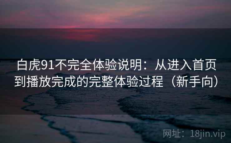 白虎91不完全体验说明：从进入首页到播放完成的完整体验过程（新手向）