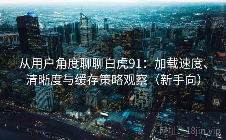 从用户角度聊聊白虎91：加载速度、清晰度与缓存策略观察（新手向）