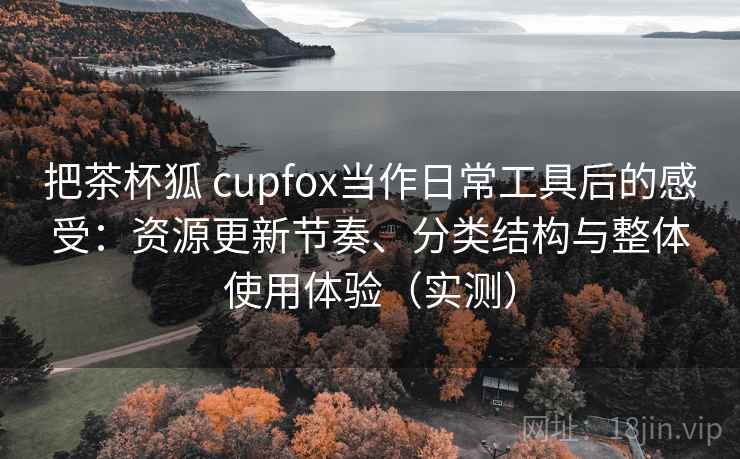 把茶杯狐 cupfox当作日常工具后的感受：资源更新节奏、分类结构与整体使用体验（实测）