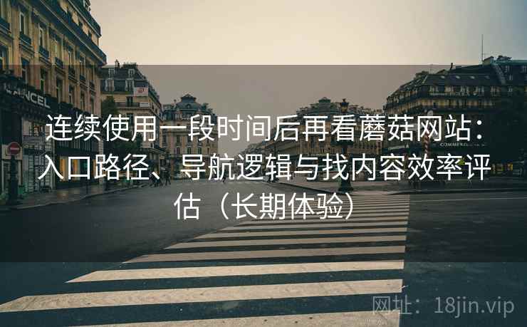 连续使用一段时间后再看蘑菇网站：入口路径、导航逻辑与找内容效率评估（长期体验）