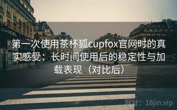 第一次使用茶杯狐cupfox官网时的真实感受：长时间使用后的稳定性与加载表现（对比后）