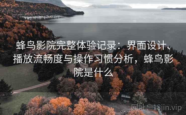 蜂鸟影院完整体验记录：界面设计、播放流畅度与操作习惯分析，蜂鸟影院是什么