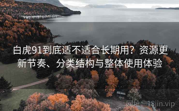 白虎91到底适不适合长期用？资源更新节奏、分类结构与整体使用体验