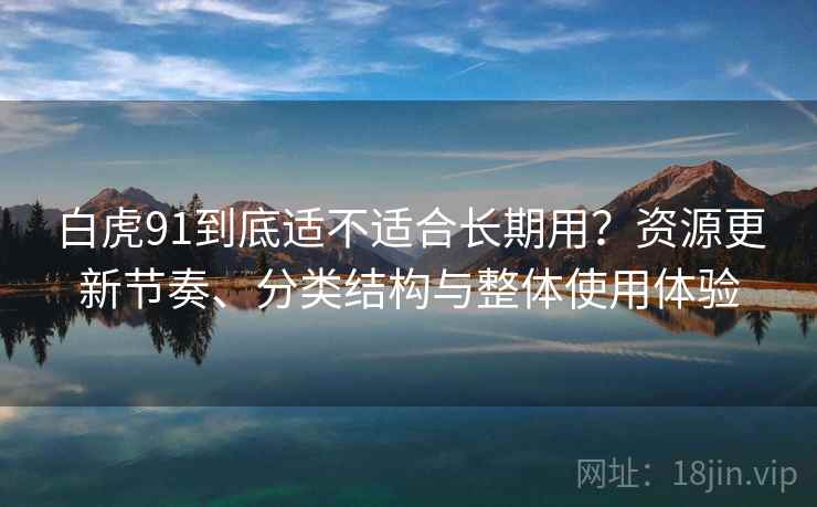 白虎91到底适不适合长期用？资源更新节奏、分类结构与整体使用体验