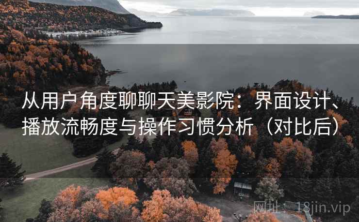从用户角度聊聊天美影院：界面设计、播放流畅度与操作习惯分析（对比后）