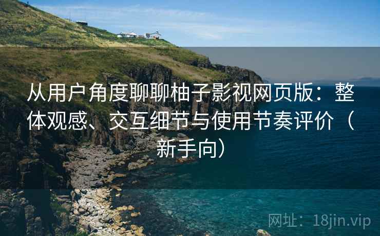 从用户角度聊聊柚子影视网页版：整体观感、交互细节与使用节奏评价（新手向）